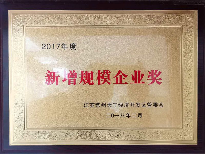 2017年度新增規模企業獎