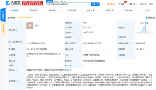 京東云計算拓展智能城市版圖，新設科技公司布局動漫游戲開發與系統集成